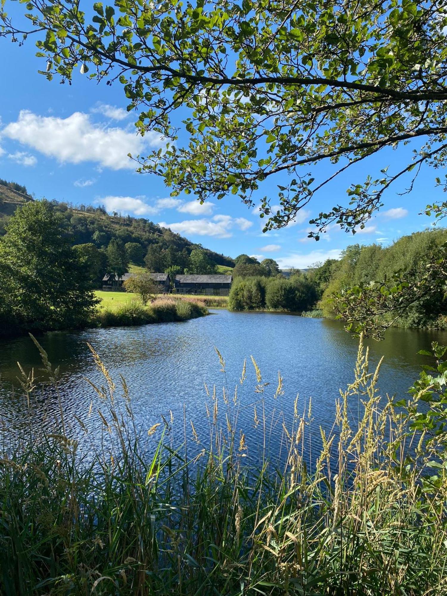 Lake Cottages At Cwm Chwefru Llanafan-fawr エクステリア 写真